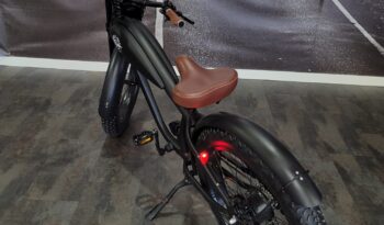 Mc E-Bike Max E-CoffeeCruiser de 2021 lleno